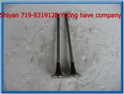 C10BF11-07011 Renault exhaust valve
