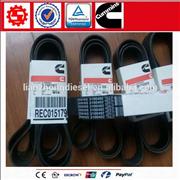 Motor Cummins ISX15 QSX15 v belt ribbed 31004023100402