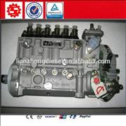 Cummins 3973900 Fuel Injection Pump , DCEC cummins 6CT8.3 Diesel Engine Fuel Injection Pump3973900