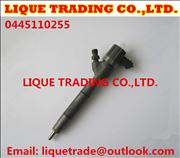 BOSCH Common rail injector 0445110255, 0445110256 for HYUNDAI & KIA 33800-2A4000445110255, 0445110256