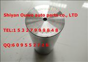 NChongqing cummins NT855 CCEC engine piston pin assembly 191970