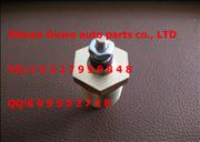 NChongqing cummins NT855 water temperature sensor assembly 3015238