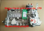 NCummins engine fuel injection pump C3974598