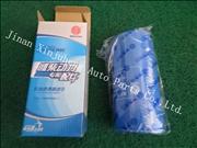 Heavy Truck Oil Filter 61000070005