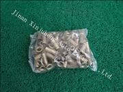 High Quality Copper Rivet 10/26 for Heavy Truck