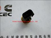 Ndongfeng cummins oil pressure sensor 4921517 