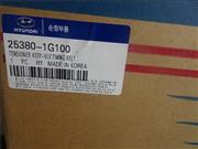 Hyundai parts for water tank electronic fan 25380-1G10025380-1G100
