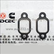 A3905443 C3929881 Pure Engine Part Dongfeng Cummins Exhaust Pipe Gasket