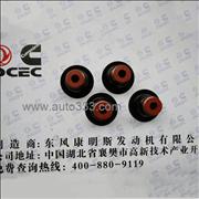 C3927642 Dongfeng Cummins Valve Oil Seal 