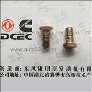 C3924726 Dongfeng Cummins Check Valve 