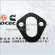 A3960316 C3939258 C393134 Dongfeng Cummins Engine Pure Part Oil Transfer Pump Gasket