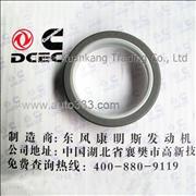 C3968562 Dongfeng Cummins Engine Part Front Crankshaft Oil Seal