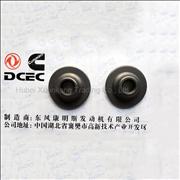 Dongfeng Cummins Valve Spring Seat Engine Part/Auto Part C3944452  