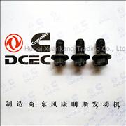 A3900629 C3912072 3918108 Engine Part/Auto Part/Spare Part /Car Accessiories Dongfeng Cummins  Gear Cover Screw