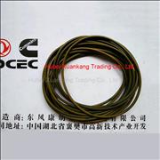 cummins engine 6CT o ring seal 3969698 