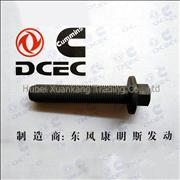 C4891179 Engine Part/Auto Part/Spare Part/Car Accessories  Dongfeng Cummins ISDE Connecting Rod ScrewC4891179