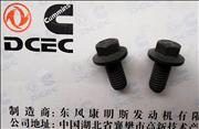 NA3900629 C3912072 3918108 Engine Part/Auto Part/Spare Part /Car Accessiories Dongfeng Cummins  Gear Cover Screw