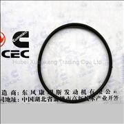 C3883284 Dongfeng Cummins Engine Part/Auto Part/Spare Part 6BT AA Turbocharger Transition Pipe Seal Washer C3883284