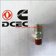 C4981372 RQ65106 Dongfeng Cummins Main Oil Pipe Joint To Air Compressor C4981372 RQ65106