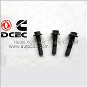 C3914118  Dongfeng Cummins Engine Part/Auto Part Vibration Damper Screw