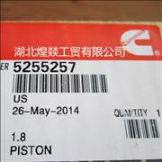 Nhigh quality piston 5255257 made in China 