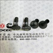 C3947759 Dongfeng Cummins Engine Part/Auto Part/Spare Part/Car Accessiories Electronically controlled ISDE Tianjin Tappet BodyC3947759