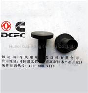 NC3947759 Dongfeng Cummins Engine Part/Auto Part/Spare Part/Car Accessiories Electronically controlled ISDE Tianjin Tappet Body