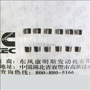 Dongfeng Cummins Engine Part/Auto Part/Spare Part/Car Accessiories  Valve lock 39011773901177