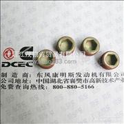 Dongfeng Cummins Engine Part pipe plug C3008470C3008470