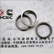 C3908830 Dongfeng Cummins Inlet valve seat 