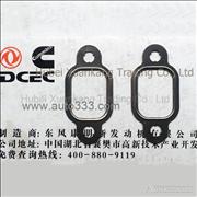  Dongfeng Cummins Engine  Part A3905443 C3929881 Exhaust Pipe Gasket