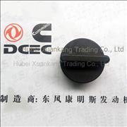 A3901895 C3914136 Dongfeng Cummins Engine Part/Auto Part/Spare Part/Car Accessiories Oil Filler Cap 