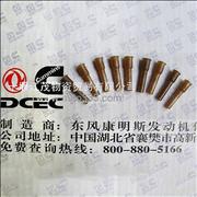 Cooling nozzle C3928031 Dongfeng Cummins Engine Part/Auto Part/Spare Part/Car AccessioriesC3928031