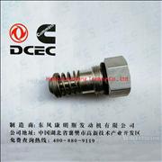 Oil bypass valve C3934278 Dongfeng Cummins Engine Part/Auto Part/Spare Part/Car Accessiories