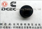 NA3901895 C3914136 Dongfeng Cummins Engine Part/Auto Part/Spare Part/Car Accessiories Oil Filler Cap 