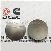 C3901969 Dongfeng Cummins Camshaft Plug Piece Engine Part/Auto Part/Spare Part /Car AccessioriesC3901969