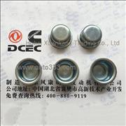 C3912900 Dongfeng Cummins Cylinder Head Plug Piece Engine Part/Auto Part/Spare Part /Car Accessiories