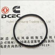 C3902089 3940386 Dongfeng Cummins Engine Part/Auto Part/Spare Part /Car Accessiories Water Pump Sealing Washer