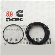 C3926048 Dongfeng Cummins Camshaft Plug Piece Seal