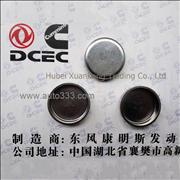 C3905401 Dongfeng Cummins Cylinder Block Plug Piece