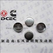 C3920443 Dongfeng Cummins Cylinder Head Plug Piece