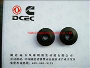 NDongfeng Cummins 6CT Engine Part/Auto Part/Spare Part Valve spring seat C3912976