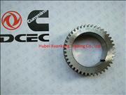 NDongfeng Cummins Engine Part/Auto Part/Spare Part/Car Accessiories Crankshaft Gear C3918776