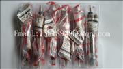 NRenault engine fuel injector D5010222526