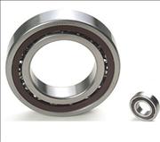 China truck parts 6013 bearing