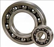 China truck parts 6021-2Z bearing