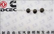 NC4944725 C5266303 Dongfeng Cummins Tappet Body Locating Pin