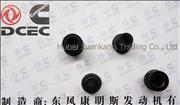 NC3959799 Dongfeng Cummins Valve Chamber Cover Damping Pads
