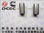 NC3945252 Dongfeng Cummins Mounting Spacer