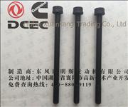 A3903940 C3920781 Dongfeng Cummins Cylinder Head Screw